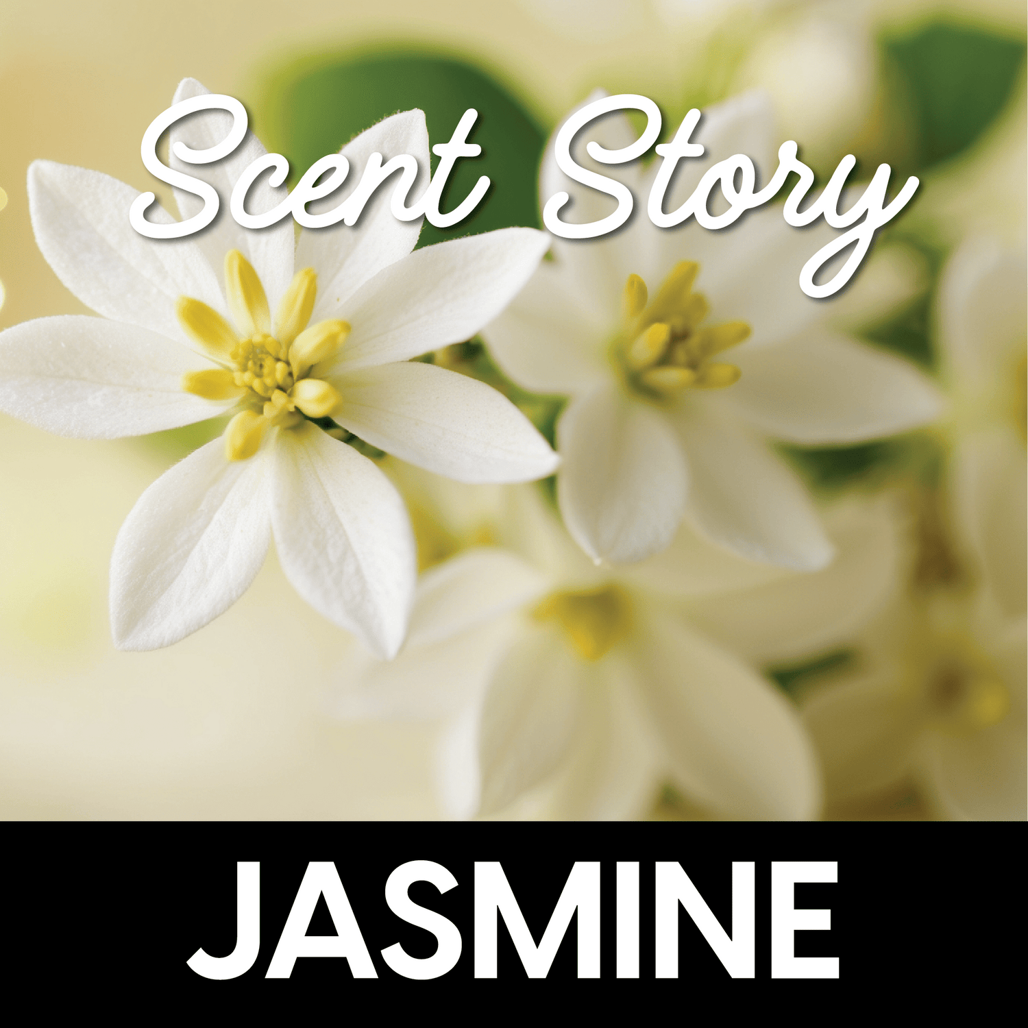 Scent Story: What Does Jasmine Smell Like? - Shop Ryan Porter