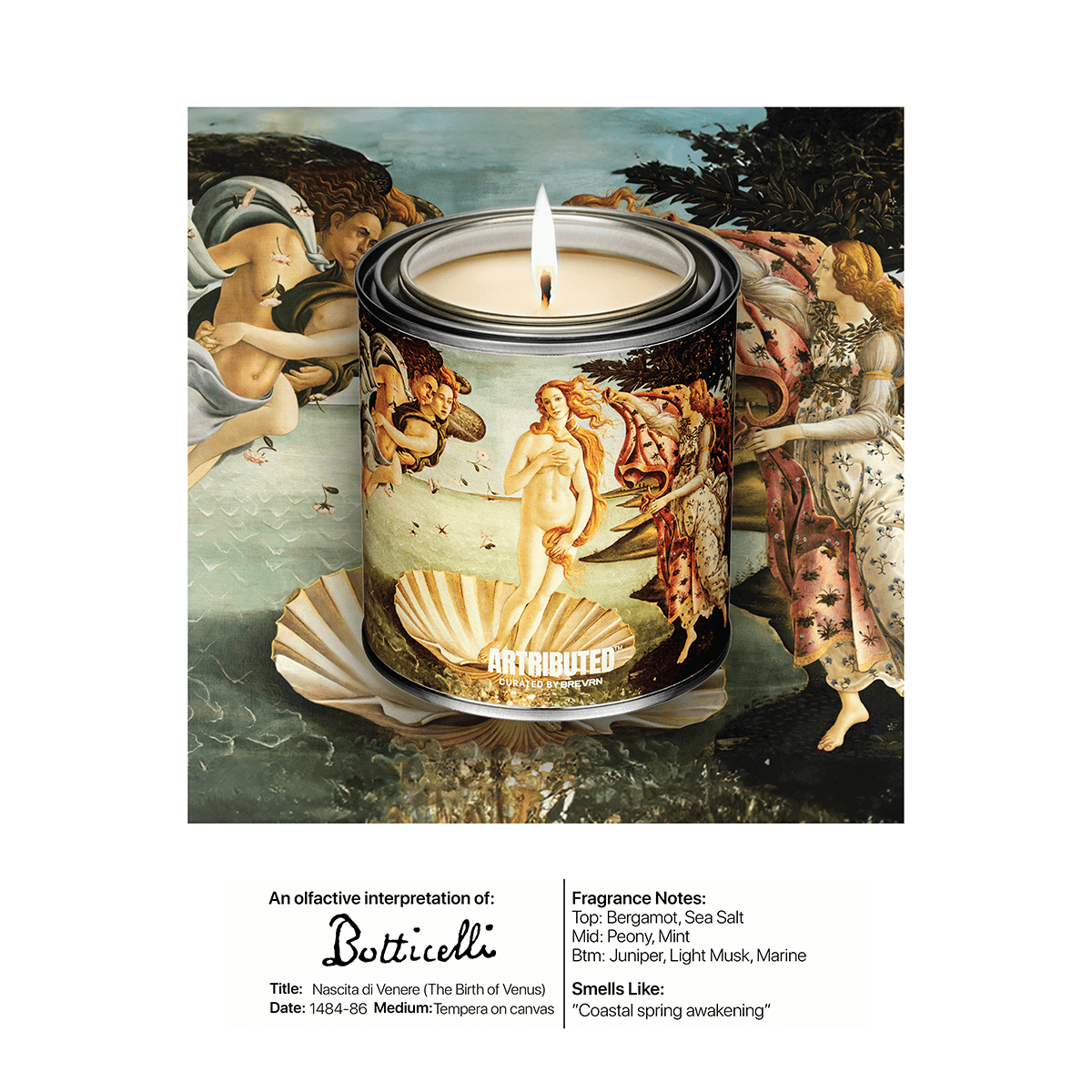 Botticelli The Birth of Venus Candle - Shop Ryan Porter