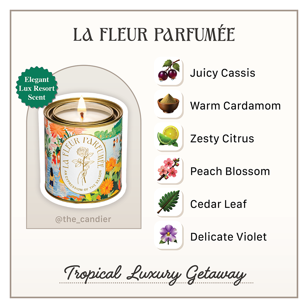 Fragrance note graphic for Candier Hamoa Beach luxury candle â juicy cassis, cardamom, citrus, florals. Best summer scent with beach aesthetic