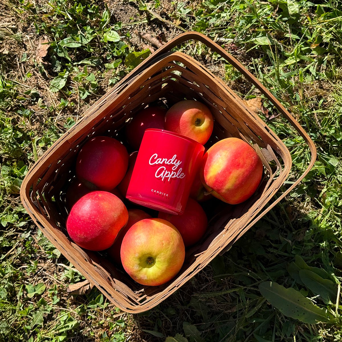 Candy Apple in a harvest basket — cozy fall scented candles and unique Christmas gifts for adults.