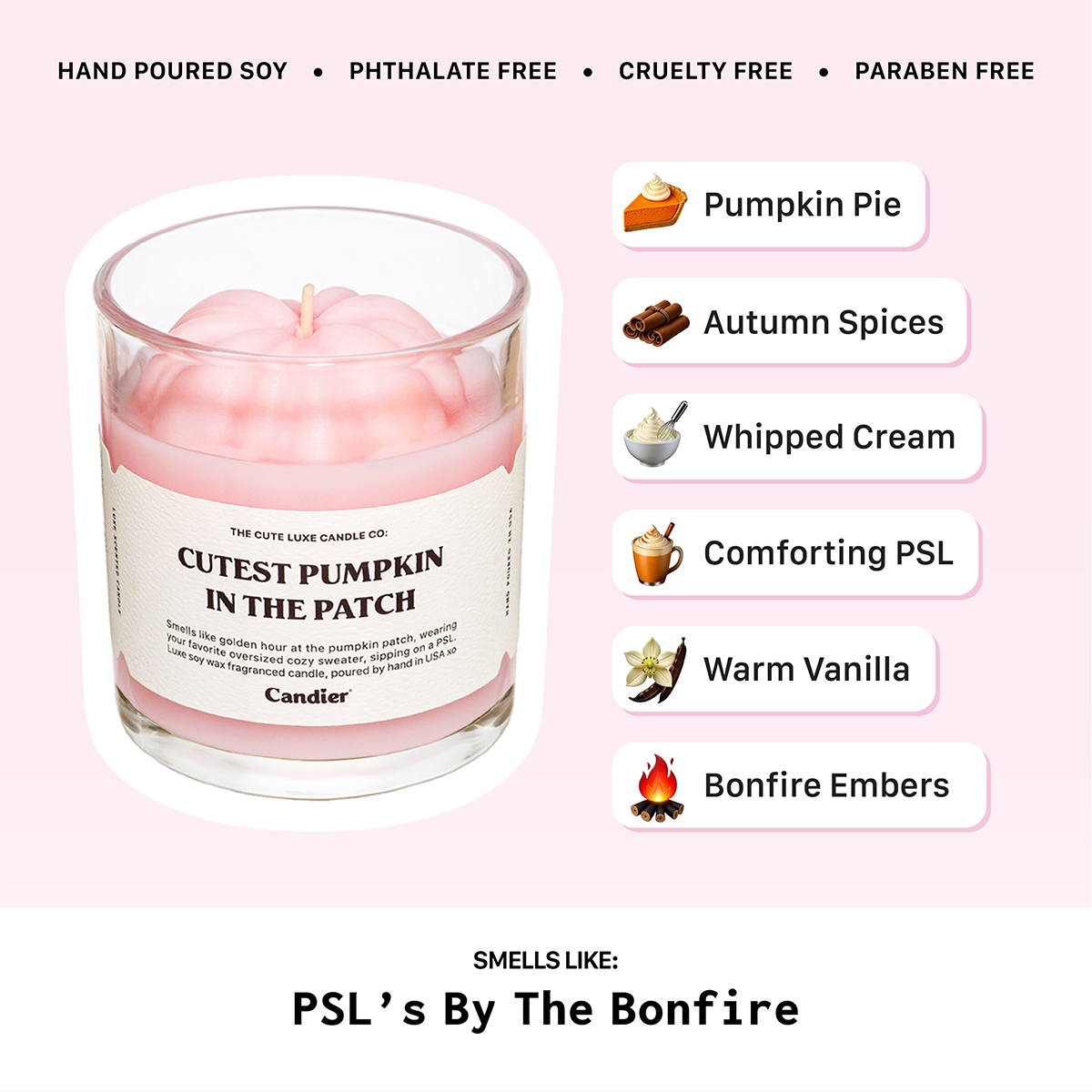 Candier candles fragrance notes chart for Cutest Pumpkin in the Patch. Best fall candles with pumpkin pie, cinnamon, vanilla, and bonfire embers.