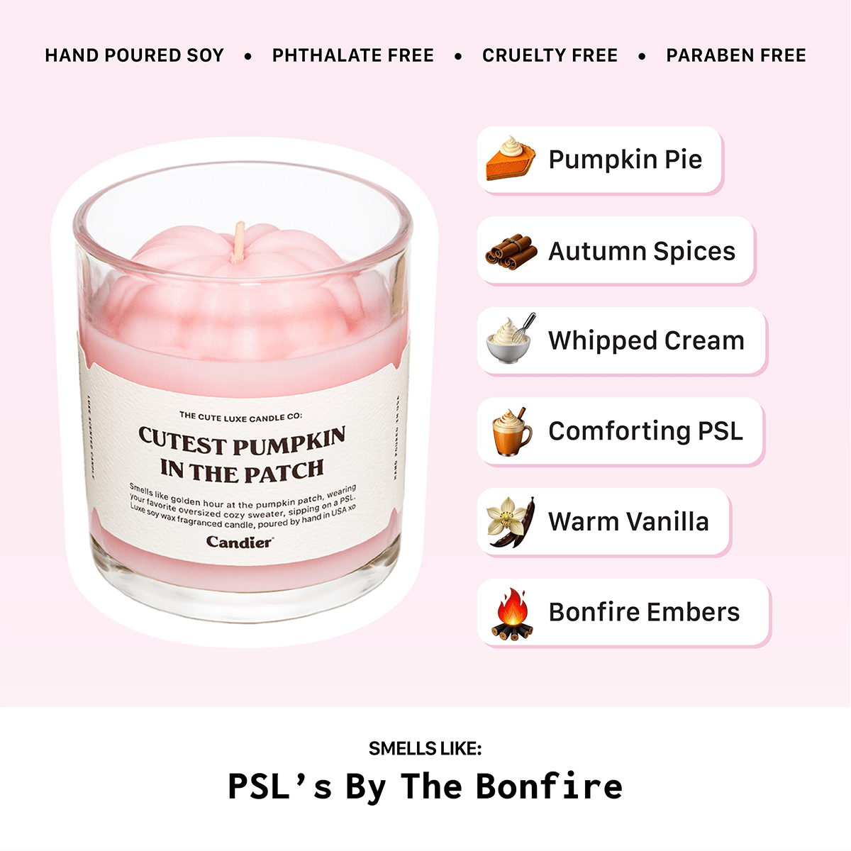 Candier candles fragrance notes chart for Cutest Pumpkin in the Patch pumpkin spice candle. Best fall candles with pumpkin pie, cinnamon, vanilla, and bonfire embers.