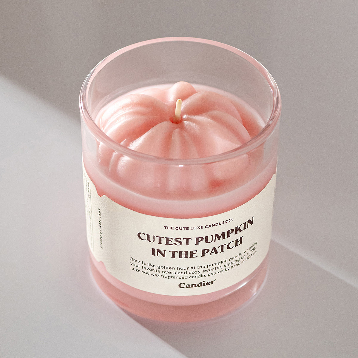 Candier Cutest Pumpkin in the Patch candle with sculpted wax topper. Non toxic fall candles, cozy cashmere candle vibes, and luxe aesthetics.