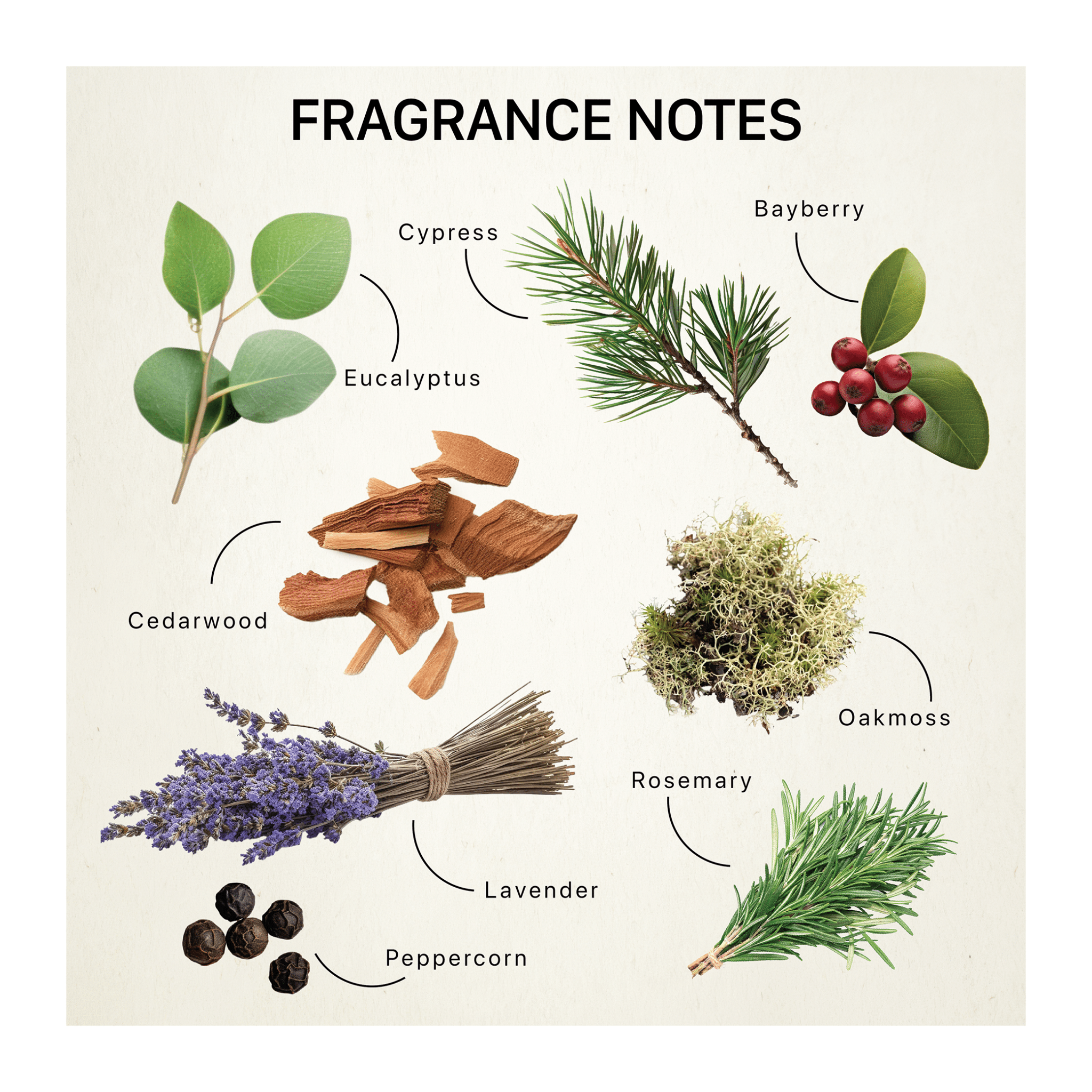 Winter Solstice fragrance notes graphic—ideal holiday candles list; great for 12 days of Christmas gifts and unique Christmas gifts for adults.