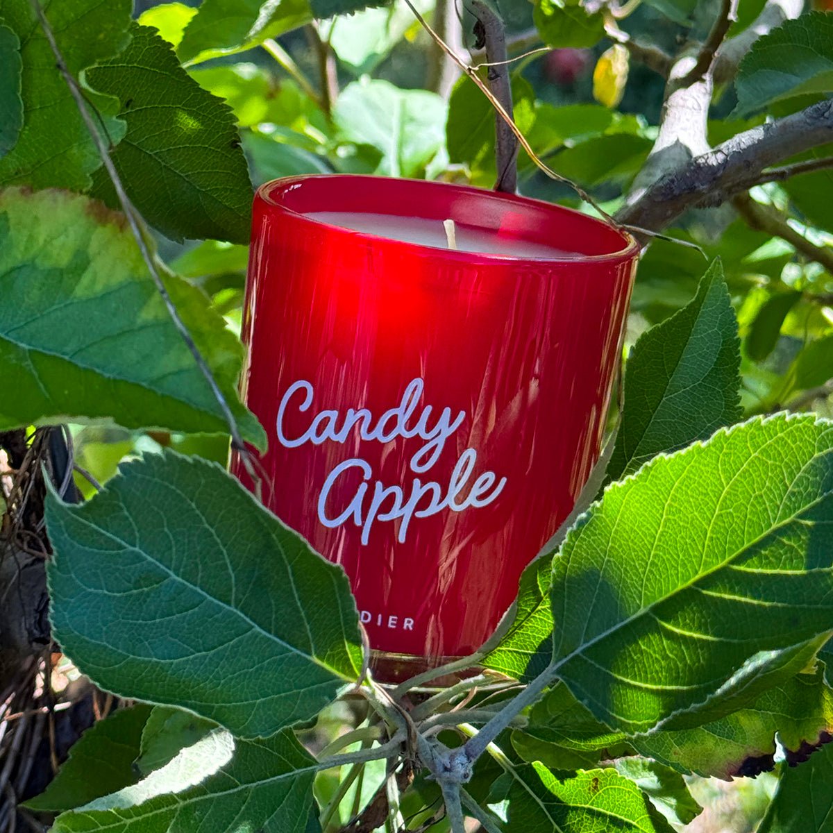Candy Apple nestled in leaves — festive christmas candles and winter candles for the season