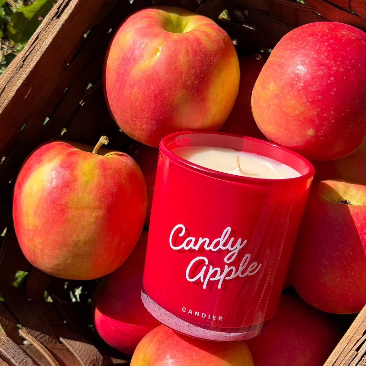 Harvest-style fall candles shot — pretty giftable candle; sweet christmas gifts for sisters or unique Christmas gifts for adults.