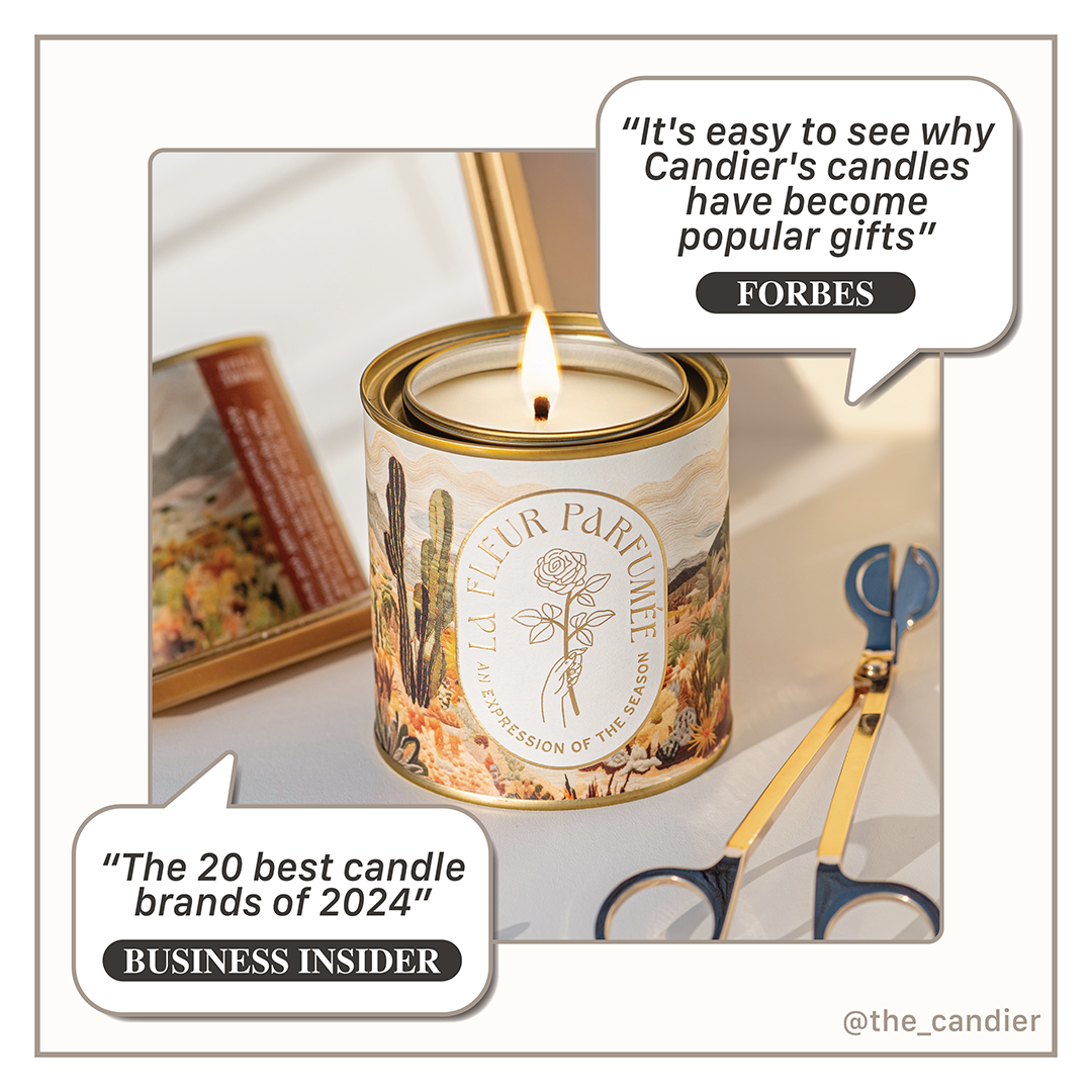 Best candle brands spotlight with our palo santo and bergamot candle featured as a top clean candle pick.