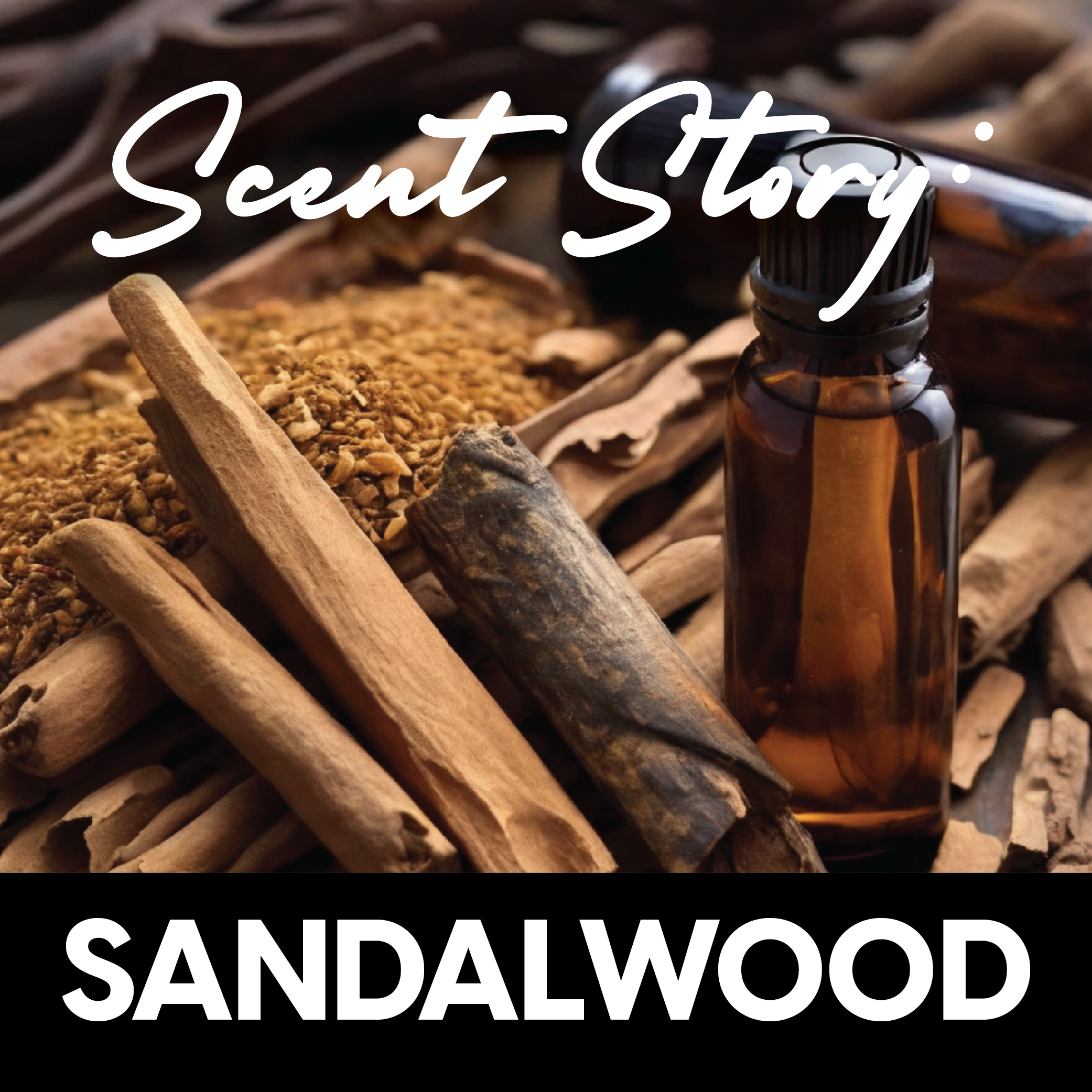 Scent Story: What Does Sandalwood Smell Like?