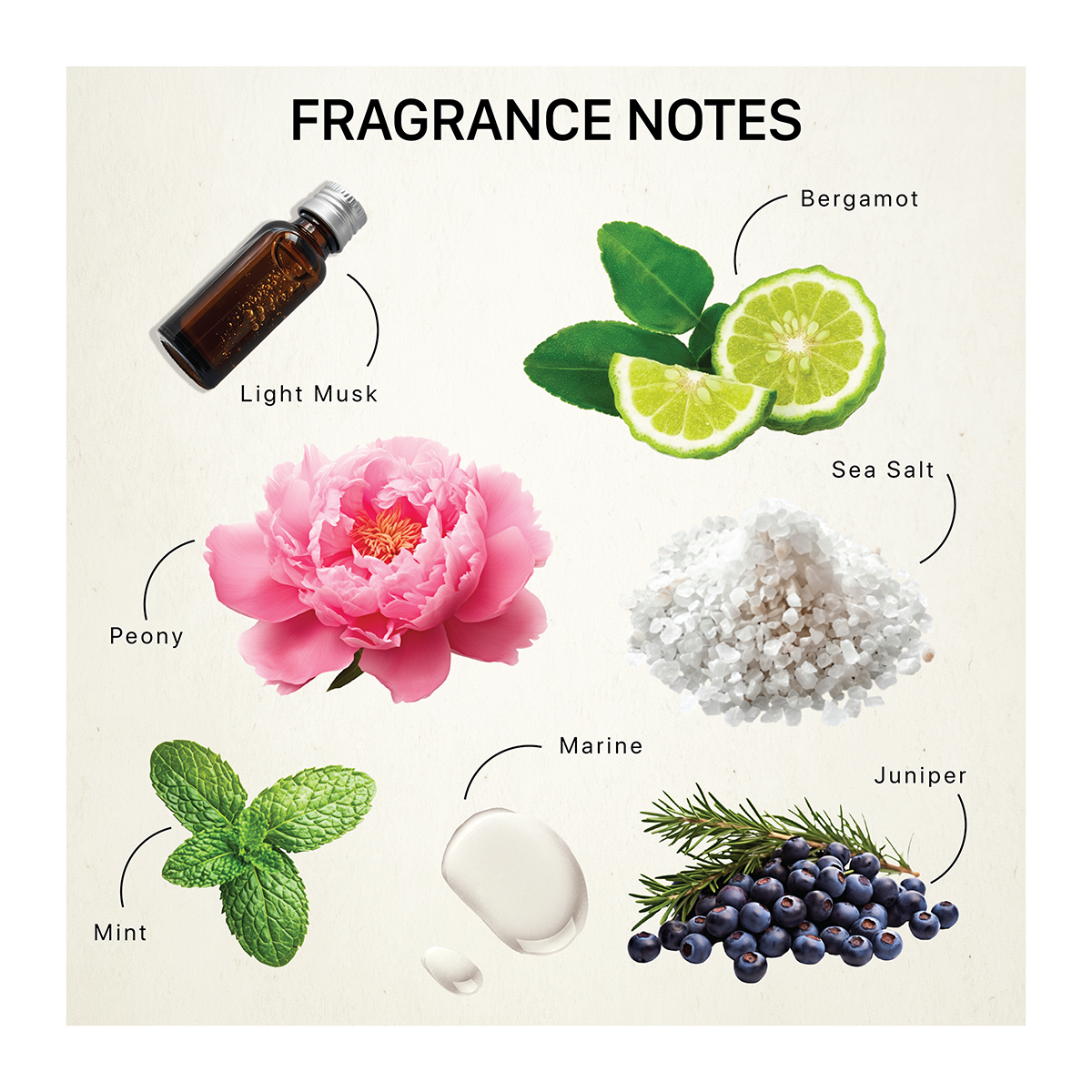 Fragrance ingredients including light musk, bergamot, sea salt, peony, mint, marine and juniper