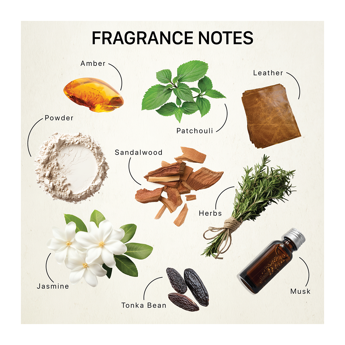 Fragrance ingredients including amber, patchouli, leather, powder, sandalwood, herbs, musk, tonka beans and jasmine