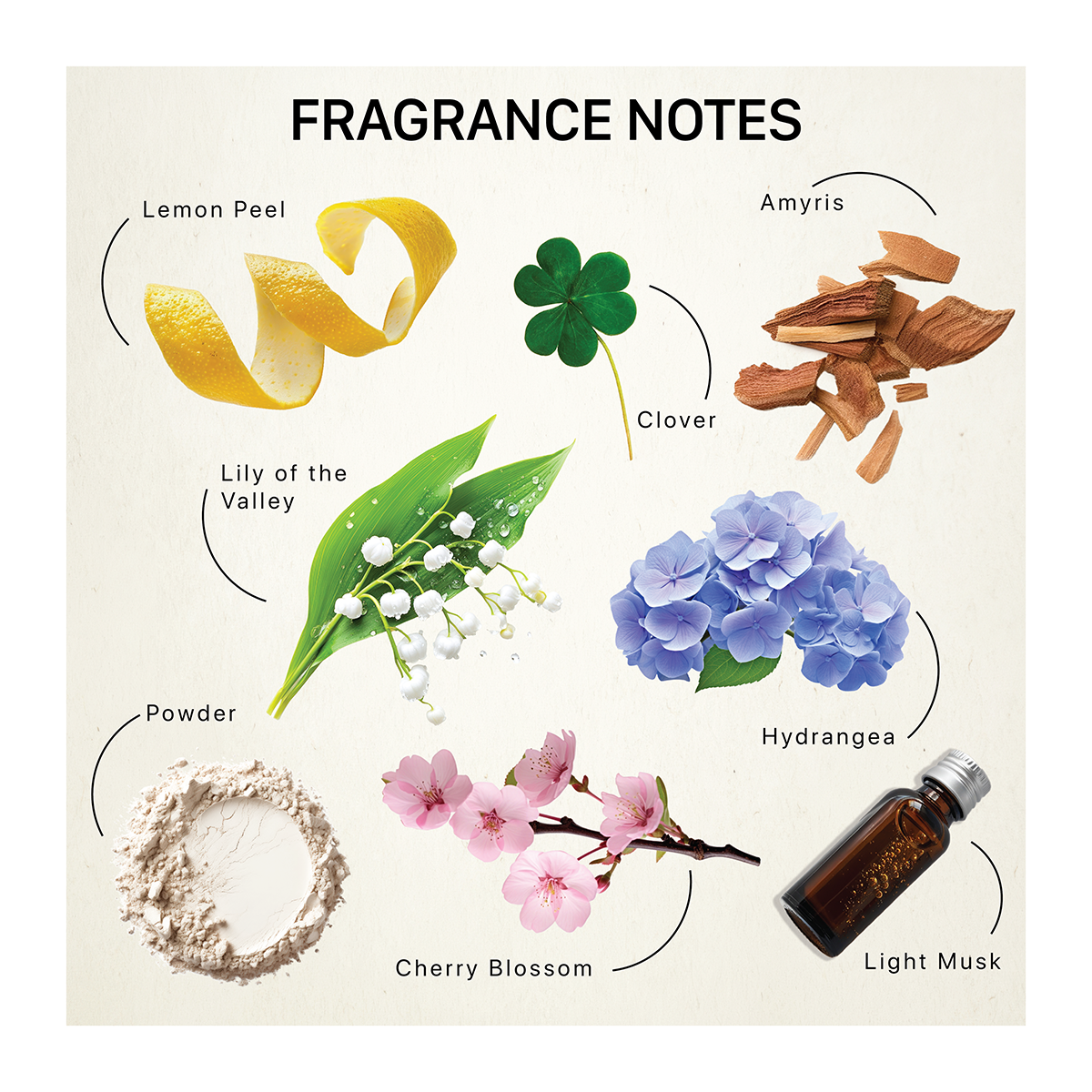 Fragrance ingredients including lemon peel, clover, amyris, hydrangea, lily of the valley, light musk, cherry blossom and powder