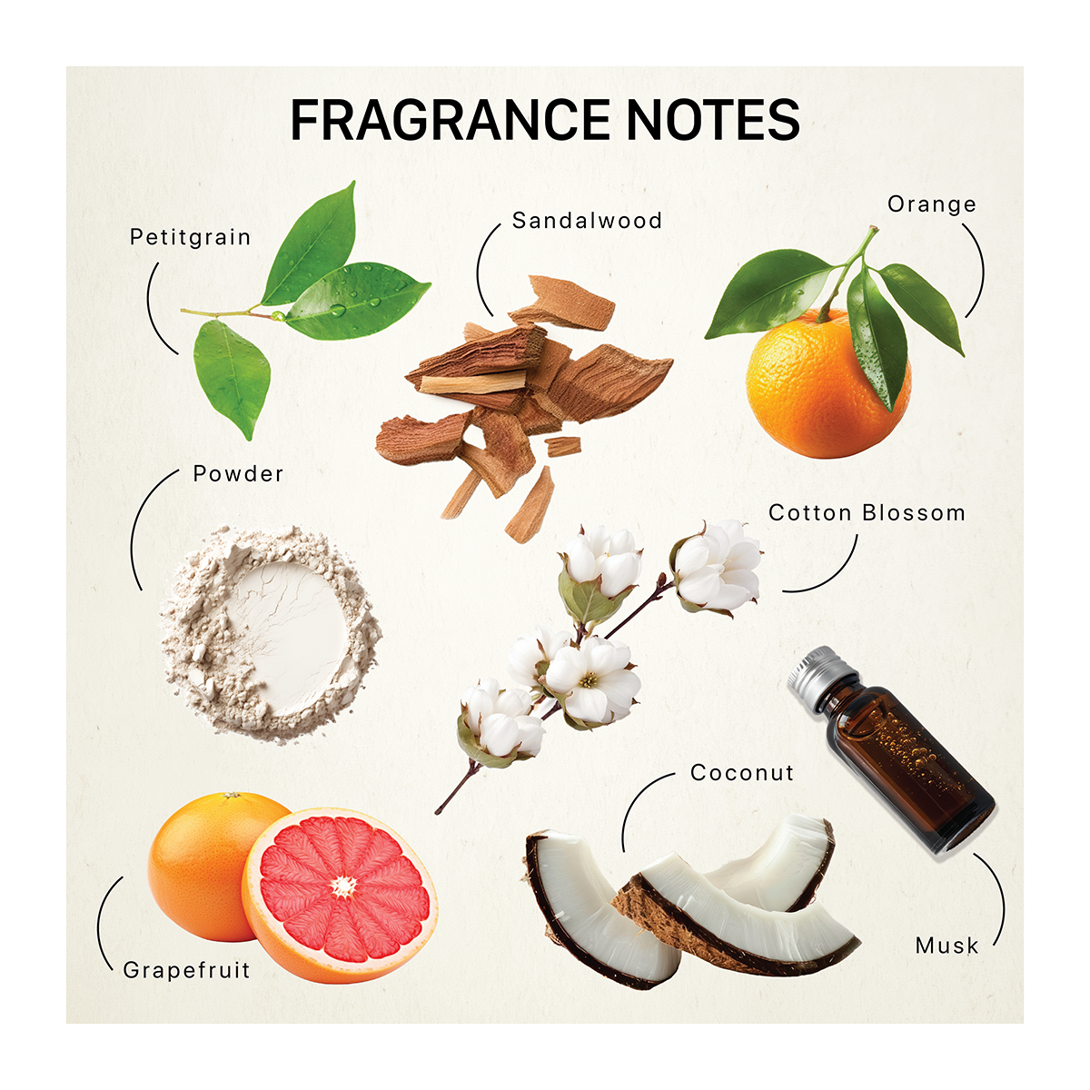 Fragrance ingredients including petitgrain, sandalwood, orange, powder cotton blossom, grapefruit, coconut and musk 