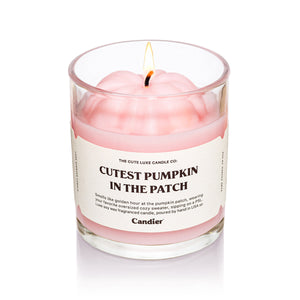 Cutest Pumpkin In The Patch Candle
